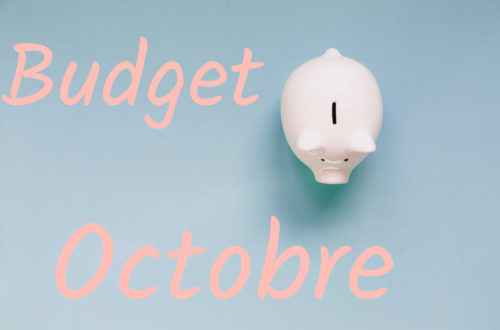 exemple de budget mensuel